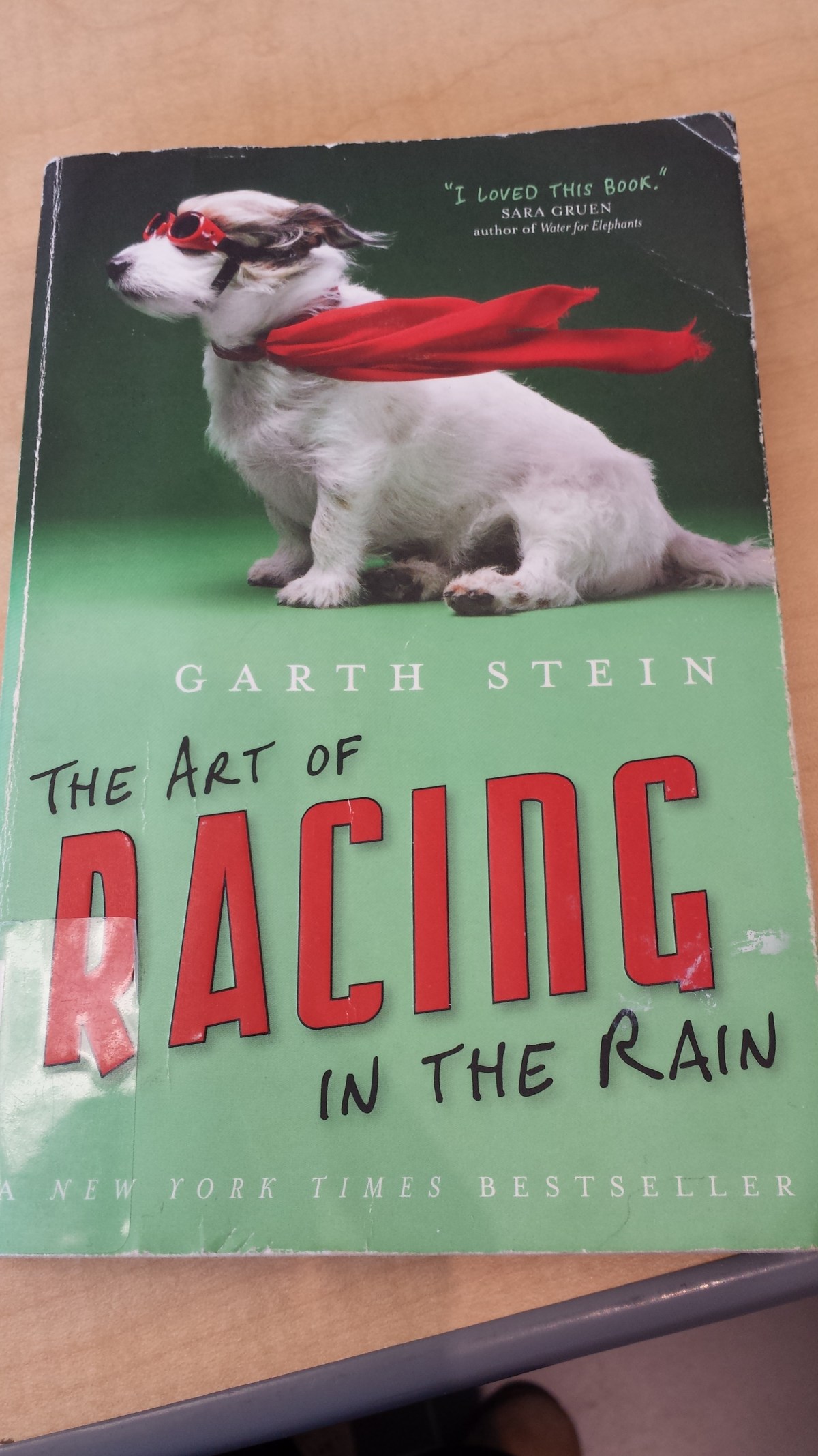 The Art of Racing in the Rain by Garth&nbsp;Stein